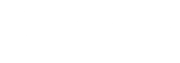 Segway-Ninebot
